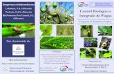 Control Biológico e BioNostrum Pest Control, S.L. Integrado de Plagas · 2020-06-29 · cipales plagas agrícolas, forestales, de plantas ornamentales y de jardinería urbana, emplean-do