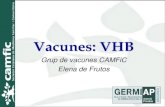 Vacunes: VHBprojectes.camfic.cat › CAMFiC › Seccions › GrupsTreball › Docs › ... · 2017-02-03 · vacuna VHB) 4. Vacunació universal d’adolescents no vacunats 5. Personal