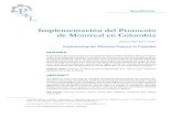Implementación del Protocolo de Montreal en Colombialasallista.edu.co/fxcul/media/pdf/RevistaLimpia/... · Esta tarea implica el compromiso de todos de cambiar nuestros hábitos