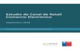 Estudio de Canal de Retail Comercio Electrónico...Estudio de Canales de Distribución Página 4 Tabla 17: El aumento de ventas vía comercio electrónico también se refleja en la