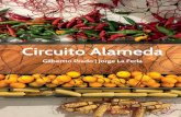 Circuito Alamedagilberttoprado.net/assets/circuito_alameda_gttoprado_jlf.pdf · 2019-03-18 · Circuito Alameda ARTES VISUALES Gilbertto Prado, artista y coordinador del Grupo Poéticas