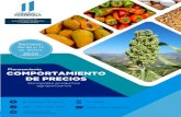 Guatemala Informe semanal de precios, del 06 al 12 de ... · Promedio semanal (quetzales) 6 11 06 al 12 feb 2020 30 ene al 05 feb 2020 Azucena de primera Docena 10.00 12.00 11.00