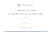 Trabajo Fin de Grado - unizar.eszaguan.unizar.es/record/7367/files/TAZ-TFG-2012-196.pdf · BMX mediante el trabajo de estiramientos de la cadena posterior y fortalecimiento del CORE.