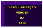 VASCULARIZAÇÃO VENOSA DA FACE - Moro Ortodontiamoroortodontia.com.br/anatomia/Aula_veias.pdf · 2020-03-31 · B A rede venosa do interior do crânio ... também uma fração significante