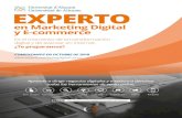 DOSSIER EXPERTO 2018 - Experto en Marketing Digital y ...expertomarketingdigitalyecommerce.ua.es/wp-content/... · Daniel del Valle, Consultor y gestor Google Adwords, 13. Beatriz
