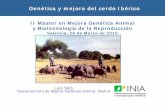 II Master en Mejora Genética Animal y Biotecnología de la ... › Asignaturas › Apuntes › 10... · de alimento) La resistencia a Leptina de los cerdos Ibéricos puede explicarse
