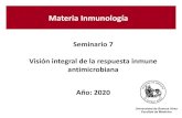 Seminario 7 Visión integral de la respuesta inmune ... · Seminario 7 Visión integral de la respuesta inmune antimicrobiana Año: 2020 Universidad de Buenos Aires Facultad de Medicina.