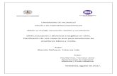 ERNC; Educación y Eficiencia Energética en Chile. Planificación de …uvadoc.uva.es/bitstream/10324/26098/1/TFM-I-752.pdf · energía compatible con el medio ambiente y eficiencia
