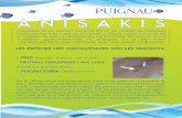 ANISAKIS - Peixos Puignau · 2018-05-07 · peixos que es consumeixen crus o poc fets (tonyina). Per a garantir-ne l’eliminació, el peix s’ha de mantenir uns 3 dies al congelador.