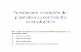 Cuestionario datos de la restricción del plásmido y su corrimiento … · 2020-04-22 · Cuestionario restricción del plásmido y su corrimiento electroforético Para resolver