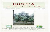 No. 3 ROSITA de Honduras - ITTO · NOMBRE COMUN: Rosita, Curtidor FAMILIA: Euphorbiaceae I I----=-HABITAT LOCAL Crece en bosques hllinedos y muy humedos del Litoral Athintico, tanto