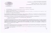 COMISIÓN NACIONAL DE HIDROCARBUROS - gob.mx › cms › uploads › attachment › file › 461969 › ... · 2019-05-16 · Comisión Nacional de Hidrocarburos "2019, Alin del Ct111dilln
