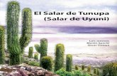 El Salar de Tunupa (Salar de Uyuni) - cactuspro · 2018-10-12 · CHILE BOLIVIA Santa Cruz (450m) Las figuras de las páginas 10 y 11 dan un resumen de la situación. Grandes lagos