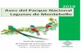 Aves del Parque Nacional Lagunas de Montebellosii.ecosur.mx/Content/ProductosActividades/archivos/25908...2 El Parque Nacional Lagunas de Montebello es reconocido por la belleza escénica