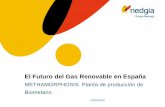 El Futuro del Gas Renovable en España · El Futuro del Gas Renovable en España METHAMORPHOSIS. Planta de producción de ... El Gas Renovable, además de suponer un ejemplo paradigmático