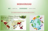 BIODIVERSIDAD Y LOS 5 REINOSsur.pana.edu.mx/wp-content/uploads/2020/05/20-05-2020...2020/05/20  · LOS 5 REINOS: REINO CARACTERISTICAS EJEMPLOS Monera Unicelulares sin nucleo Bacterias,