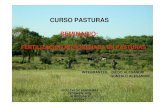 CURSO PASTURAS SEMINARIO - :: Sitio web del Departamento ...prodanimal.fagro.edu.uy/cursos/PASTURAS CRS... · 2. dinÁmica del nitrÓgeno 3. fijaciÓn biolÓgica del nitrÓgeno 4.