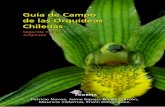 Guía de Campo de las Orquídeas Chilenas · El diseño, tamaño y formato de esta Guía de campo es de propiedad de la Corporación Chilena de la Madera, CORMA, y cualquier uso de