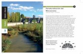 RESTAURACIÓN DE RIBERAS Renaturalización del Madrid ...€¦ · corredor natural del río a su paso por la ciudad. Se trata de la recuperación forestal del tramo sur del Manzanares.