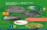 Ciudad + Natural - madrid.es€¦ · Ciudad + Natural Renaturalización del río Manzanares · Mejora de la biodiversidad. · Creación de corredores naturales en torno al río, a