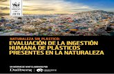 natUraleza sin plástico: evalUación de la ingestión hUmana ...en la naturaleza, lo que genera contaminación por plásticos7. Por ejemplo, si la situación sigue igual, para 2025,