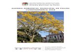 AGENDA AMBIENTAL MUNICIPAL DE PACHO CUNDINAMARCA …repository.udistrital.edu.co/bitstream/11349/22161/9... · 2019-10-22 · La población del Municipio de Pacho, según el DANE