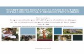 TERRITORIOS MAYAS EN EL PASO DEL TREN: SITUACIÓN … · El documento Territorios Mayas en el Paso del Tren: Condiciones Actuales y Riesgos Previsibles, resume resultados de consenso