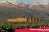 Bienvenidos a Mendoza, Tierra del Sol y del buen vino · Mendoza Holidays se especializa en paseos privados, itinerarios a medida y programas personalizados en las principales regiones