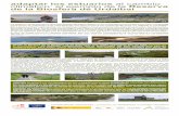 adaptar los estuarios al cambio climático: el ejemplo de ... › sites › default › files › 11_Urdaibai_panel.pdf · de la Biosfera de Urdaibai La cuenca vertiente al río Oka