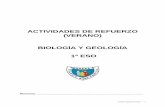 ACTIVIDADES DE REFUERZO (VERANO) BIOLOGÍA Y GEOLOGÍA … · 2020-06-24 · Colegio Sagrada Familia 3 ACTIVIDADES DE REFUERZO BIOLOGÍA Y GEOLOGÍA 1º ESO Material: 1. Libro de