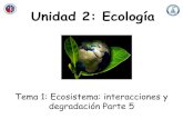 Unidad 2: Ecología - WordPress.com...en la Unidad 2 de Ecología. •En esta clase estudiaremos características sobre el tamaño poblacional e interacciones ecológicas. •No olvidar