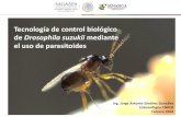 Tecnología de control biológico de Drosophila suzukii ... › wp-content › uploads › 2018 › 04 › USO-Y... · Febrero 2018 Tecnología de control biológico de Drosophila