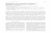 Identificación de los agentes causantes de biodeterioro en ...lillo.org.ar/revis/lilloa/2008/v45n1n2/v45n1n2a10.pdf · 86 M. F. Parrado et al.: Identificación de los agentes causantes