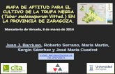 MAPA DE APTITUD PARA EL CULTIVO DE LA TRUFA NEGRA …citarea.cita-aragon.es/citarea/bitstream/10532/2472/1/... · 2020-05-12 · Juan J. Barriuso, Roberto Serrano, María Martín,