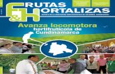 Avanza locomotora - ASOHOFRUCOL · REVISTA DE LA ASOCIACIÓN HORTIFRUTÍCOLA DE COLOMBIA, ASOHOFRUCOL Julio - Agosto 2013 Frutas y hortalizas: las protagonistas durante Agroexpo 2013