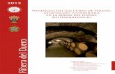 Ribera del Duero | Ribera del Duero - PONENCIAS … › ... › files › libro_2013.pdfPortadas 2013 (XIII) 9 mm ancho:- 10/6/14 17:21 Página 1 INNOVACIÓNVITIVINÍCOLA ENLARIBERADELDUERO: