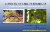 Métodos de captura-recaptura - Ecologiaecologia.ib.usp.br/recaptura/lib/exe/fetch.php?media=p01...MAPA CONCEPTUAL CURSO CAPTURA-RECAPTURA UNAM, 2010 Roberto Munguía-Steyer M fen