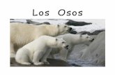 Los Ososoer2go.org/mods/es-mustardseedbooks/Content/Spanish/LosOsos.pdf · Los osos panda comen solamente bambú, ¡y comen por hasta quince horas cada día! 5 . Los osos recién