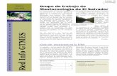 Junio, 2003 Mastozoología de El Salvador · 2004-07-29 · nuevo acuerdo de las cuestiones que se de-berían de realizar. En estas reuniones parti- ... Emma Zenaida Domínguez y