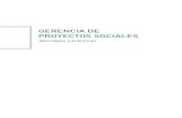 GERENCIA DE PROYECTOS SOCIALES...Gerencia de proyectos sociales: abordajes y prácticas es una obra que recoge las ideas, experiencias y aprendizajes de tres fundaciones comprometidas