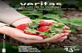 La ruta de la maduixa - Veritas › wp-content › uploads › Veritas_85CAT-1.pdf · La ruta de la maduixa Flor de Doñana Biorganic. Espai Natural de Doñana. Huelva nº85 Evidentment,