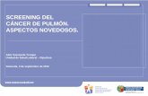 SCREENING DEL CÁNCER DE PULMÓN. ASPECTOS NOVEDOSOS.€¦ · Cancer Causes Control 2006; 17: 911–19. • Garshick E, Laden F, Hart JE, et al. Lung cancer and vehicle exhaust in