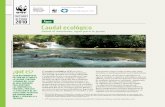 Caudal ecológico · 2013-04-03 · El caudal ecológico (CE) en ríos y humedales es un instrumento de gestión que permite acordar un manejo integrado y sostenible de los recursos