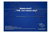 Baleia Azul- THE one reason why - Wainer Psicologia€¦ · final da temporada, nenhuma ajuda parental, da escola ou profissional, seja farmacológica como psicoterápica, embora