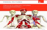 Oferta de la colección completa - Primal Pictures · resolución, diapositivas de disecciones etiquetadas, ilustraciones comentadas, diapositivas clínicas, segmentos de video y