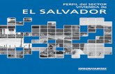 PERFIL del SECTOR VIVIENDA de EL SALVADOR...5.3 Actores involucrados en la producción de suelo 72 5.3.1 Sector público 72 5.3.2 Sector privado 72 5.3.3 Sector comunitario y de ONG