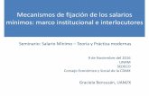 Mecanismos de fijación de los salarios mínimos: marco ... · Seminario: Salario Mínimo – Teoría y Práctica modernas 9 de Noviembre del 2016 UNAM ... beneficios de seguridad