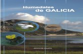 HUMEDALES DE GALICIA - Drupalterrasdomino.deputacionlugo.org › docs › vive › fichas › 8C-Humi...es el segundo gran tipo de humedales marinos y costeros presentes en el territorio
