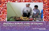 Diagnóstico de maíces criollos de Colombia...3 Presentación Colombia es uno de los países que tiene mayor diversi-dad de maíces nativos y criollos, que se expresa en las nu-merosas