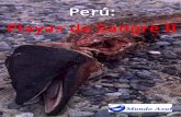 Perú: Playas de Sangre II - Mundo Azul · Perú aparecieron en los años sesenta del último siglo.1 En el año 1972, el año del gran colapso pesquero, la población peruana de
